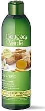 Шампунь для волос с имбирем - Bottega Verde Zenzero Strengthening And Purifying Shampoo  — фото N1