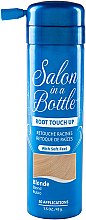 Тонувальний спрей для волосся - Salon In A Bottle Root Touch Up Spray — фото N1