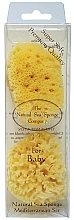 Парфумерія, косметика Набір губок для душу, 7.62 см - Hydrea London Baby Honeycomb Sea Sponge (sponge/2pcs)