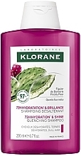 Шампунь для увлажнения и придания блеска с опунцией - Klorane 72H Hydration & Shine Quenching Shampoo With Prickly Pear — фото N1