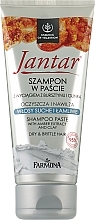 Парфумерія, косметика Шампунь-паста з екстрактом бурштину й глиною - Farmona Jantar Shampoo