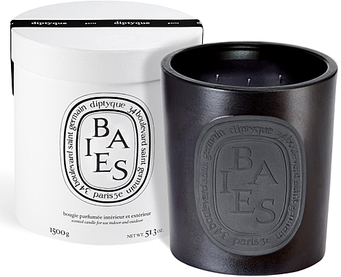 Ароматична свічка, 3 ґніти - Diptyque Black Baies Ceramic Candle — фото N1