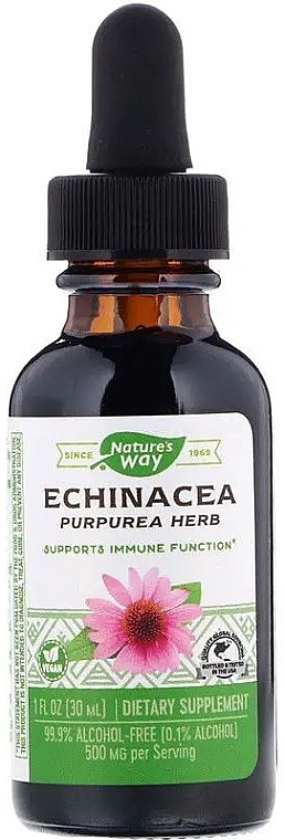 Ехінацея без спирту на 99.9% 500mg - Nature's Way Echinacea — фото N1