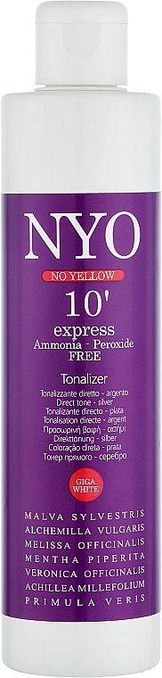 Экспресс-тонер для волос "Серебро" - Faipa Roma Nyo No Yellow 10 Express Tonalizer — фото N1