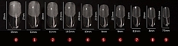 Типсы для ногтей, акриловые, прозрачные, 504 шт. - Reney Cosmetics RX-105 — фото N2