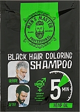 Окрашивающий шампунь для волос для камуфлирования седины - Men's Master Black Hair Coloring Shampoo — фото N2
