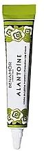 Парфумерія, косметика Крем для губ з алантоїном - Benamor Alantoine Lip Cream