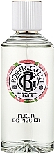 Roger&Gallet Fleur de Figuier Wellbeing Fragrant Water - Ароматическая вода — фото N3