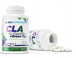 Пищевая добавка для коррекции фигуры - AllNutrition CLA + L-Carnitine + Green Tea — фото N2