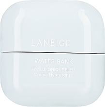 Увлажняющий гиалуроновый крем для лица - Laneige Water Bank Blue Hyaluronic Cream Moisturizer Hydrate and Nourish — фото N2