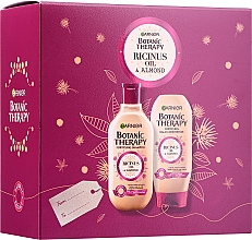 Духи, Парфюмерия, косметика Набор - Garnier Botanic Therapy (shampoo/250ml + cond/200ml)