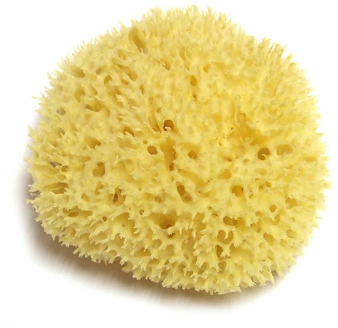 Мочалка 2-2,5 дюйми - Hydrea London Honeycomb Sea Sponge Premium Quality — фото N2