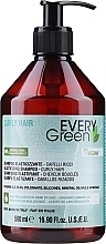Шампунь для в'юнкого волосся - Dikson Every Green Curly Elasticising Shampoo — фото N1