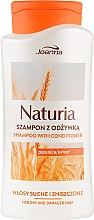 Шампунь-кондиционер с пшеницей для сухих и окрашенных волос - Joanna Naturia Shampoo With Conditioner With Wheat — фото N1