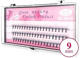 Накладные пучки, C, 9 мм - Clavier Pink Silk Green Eyelash — фото N1
