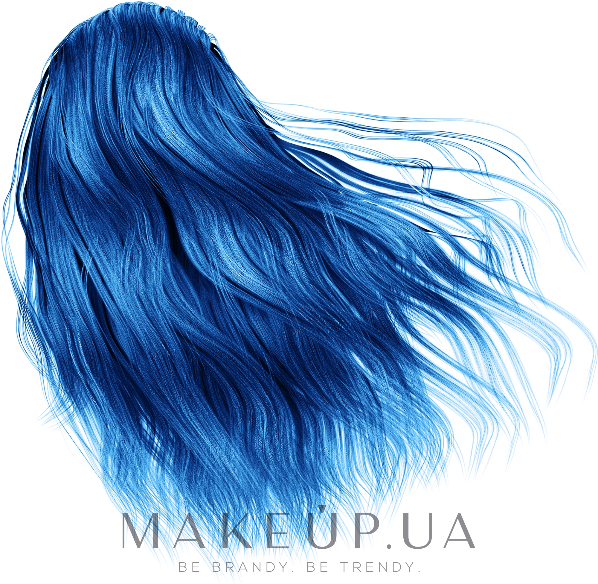 Пігмент-барвник для волосся - Spa Master — фото Blue