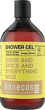 Гель для душу - Benecos Shower Gel Organic Ingwer & Zitrone — фото N1