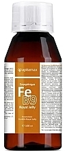 Комплекс для восполнения дефицита железа в организме - Apitamax Fe + B9 + Royal Jelly — фото N1