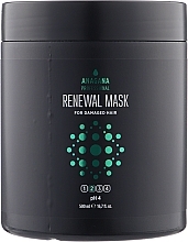 ПОДАРОК! Восстанавливающая маска для поврежденных волос - Anagana Professional Renewal Mask For Damaged Hair 2 pH 4 — фото N1