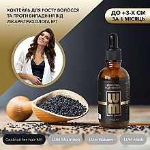 Набор "Профессиональный уход за волосами" - LUM (shm/250ml + h/balm/250ml + h/mask/200ml + hair/coc/50ml) — фото N3