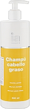 Шампунь для жирных волос с экстрактами плюща и репейника с дозатором - Interapothek Shampu Cabello Graso — фото N1