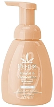 Духи, Парфюмерия, косметика Мыло для рук "Абрикос и клементин" - Hempz Apricot & Clementine Moisturizer Hand Wash