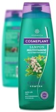 Духи, Парфюмерия, косметика Шампунь мультивитаминный "Каштан" - Viorica Cosmeplant Shampoo