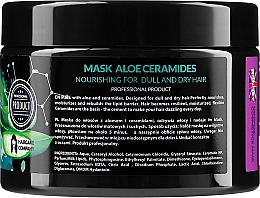 Маска для сухого й тьмяного волосся - Ronney Professional Aloe Ceramides Mask Nourishing — фото N2