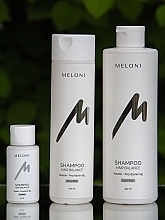 Восстанавливающий безсульфатный шампунь с кератином и провитамином В5 - Meloni Hair Balance Shampoo — фото N7