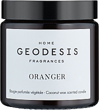 Geodesis Orange Tree - Ароматична свічка — фото N1