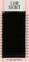 Парфумерія, косметика Накладні вії, чорні, 16 ліній (один розмір, 0,05, C, 13) - Lash Secret