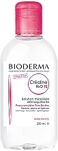 Мицеллярный лосьон для чувствительной и сухой кожи - Bioderma Sensibio H2O TS Micellaire Solution — фото N1