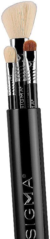 Набір пензлів для макіяжу в футлярі, чорний, 3 шт. - Sigma Beauty Essential Trio Brush Set — фото N3