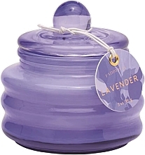 Парфумерія, косметика Ароматична свічка "Лаванда" - Paddywax Beam Glass Candle Lilac Lavender