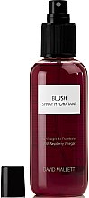 Парфумерія, косметика РОЗПРОДАЖ! Спрей для фарбування волосся - David Mallett Blush Red Raspberry Spray *