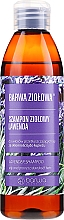 Парфумерія, косметика Шампунь для жирного і схильного до лупи волосся - Barwa Herbal Lavender Shampoo