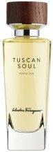 Духи, Парфюмерия, косметика Salvatore Ferragamo Tuscan Soul Terra Rossa - Туалетная вода (тестер с крышечкой)