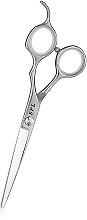 Ножиці перукарські, 6 - SPL Professional Hairdressing Scissors 96815-60 — фото N1