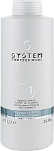 Духи, Парфюмерия, косметика Шампунь для волос - System Professional Volumize Shampoo V1