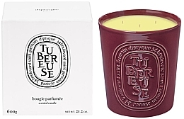 Духи, Парфюмерия, косметика Ароматическая свеча, 3 фителя - Diptyque Tubereuse Ceramic Candle