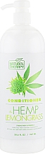 Парфумерія, косметика Кондиціонер для волосся з екстрактом конопель і екстрактом лемонграсу - Natural Therapy Hemp + Lemongrass Conditioner