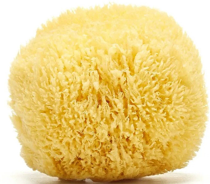 Натуральна морська губка з Карибського моря 11.5 см - Hydrea London Grass Sea Sponge Caribbean Origin — фото N2