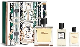 Hermes Terre d'Hermes Parfum - Набір (edp/75ml + edp/12.5ml + ash/lot/40ml) — фото N1