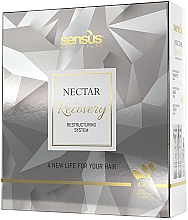 Набір - Sensus Nectar Recovery Restructuring System (sh/250ml + h/mask/250ml + spray/150ml) — фото N1