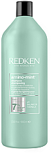 Духи, Парфюмерия, косметика Шампунь для волос - Redken Amino Mint Scalp Shampoo