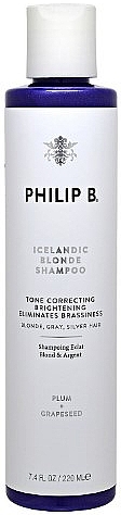 Осветляющий шампунь для волос - Philip B Icelandic Blonde Shampoo — фото N1