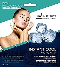 Тканевая маска для лица с увлажняющим и охлаждающим эффектом - IDC Institute Instant Cool Hyaluronic Acid Facial Mask — фото N1