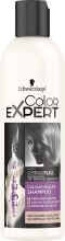 Духи, Парфюмерия, косметика Шампунь для волос "Усиление цвета" - Schwarzkopf Color Expert Color Sealer Shampoo