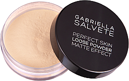 Розсипна пудра для обличчя - Gabriella Salvete Perfect Skin Loose Powder Puder — фото N2