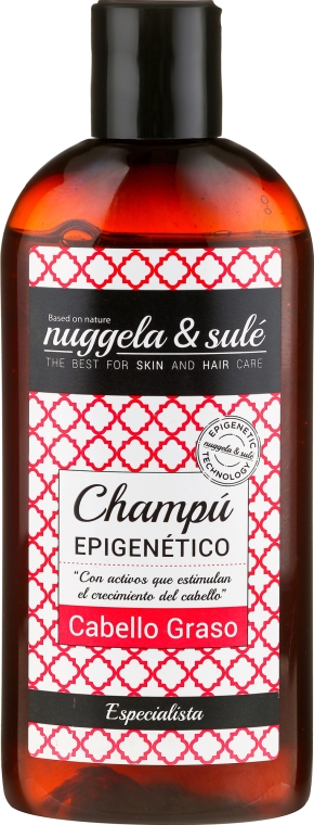 Епігенетичний шампунь для жирного волосся - Nuggela & Sule' Epigenetic Shampoo Oily Hair — фото N1